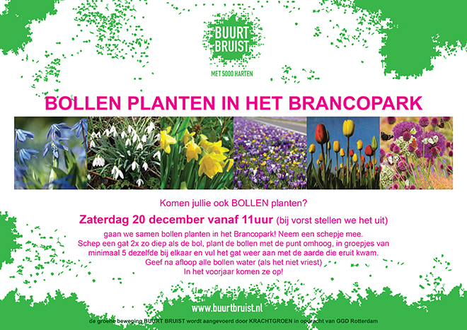 141220 BB uitn bollen Brancopark_opt