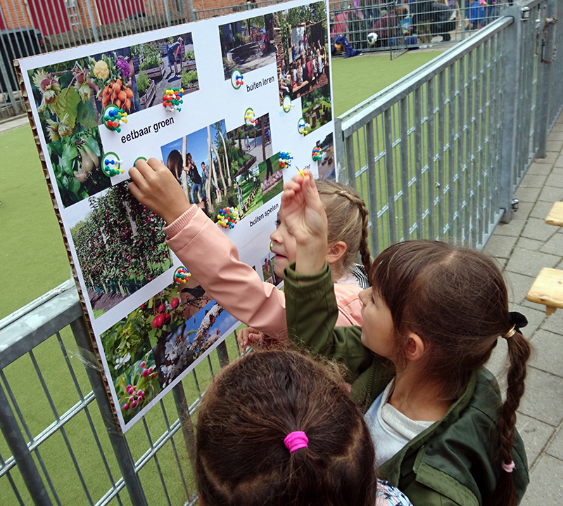 DSC_3734 schoolpleinen