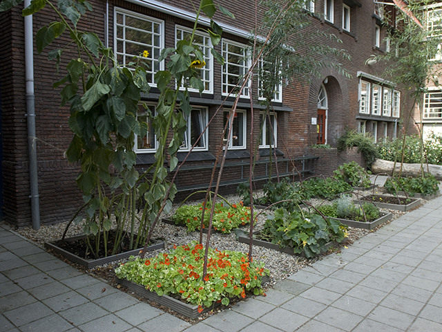 speeltuin Trinoom okt. 2010-1